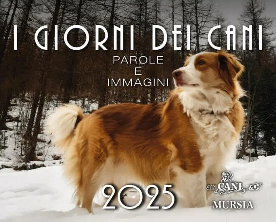 libreriadantealighieri-4202606231426492034311