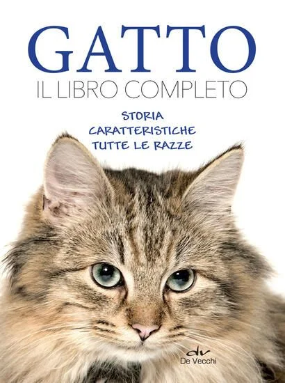 libreriadantealighieri-4202606231636162053925