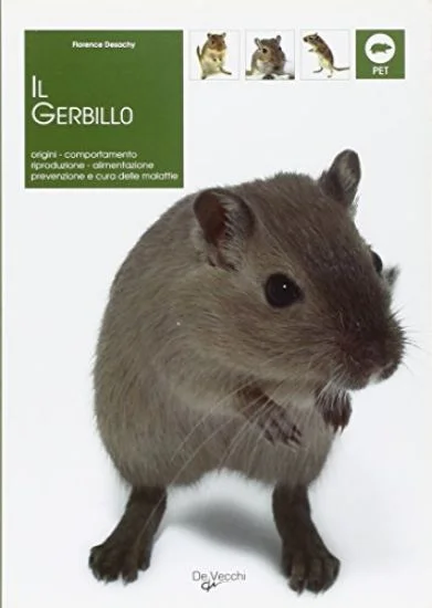 libreriadantealighieri-4202606240629422240356